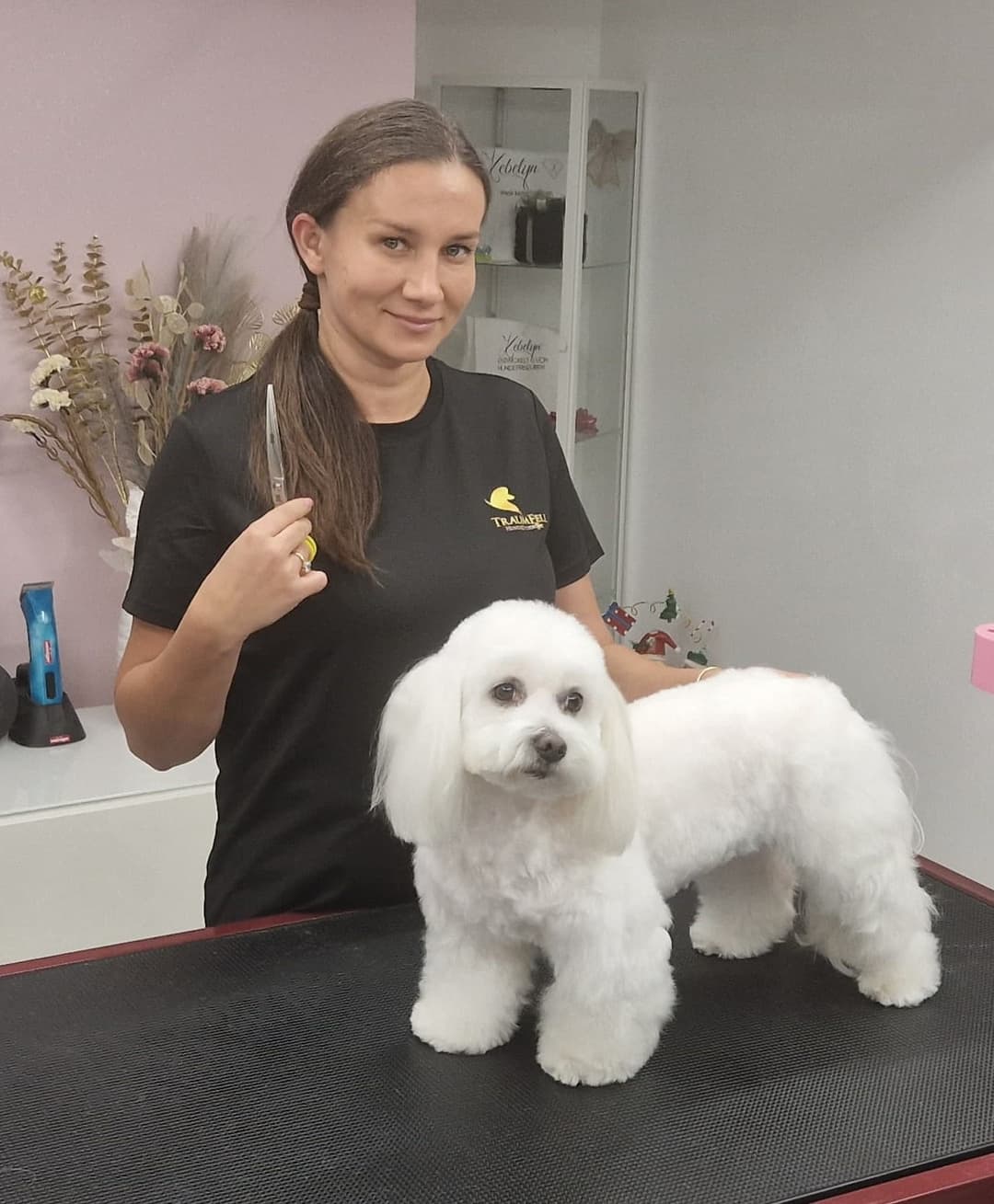 Herzlich willkommen bei Ihrem Hundefriseurin